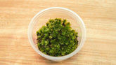 比拉真苔|Bryum